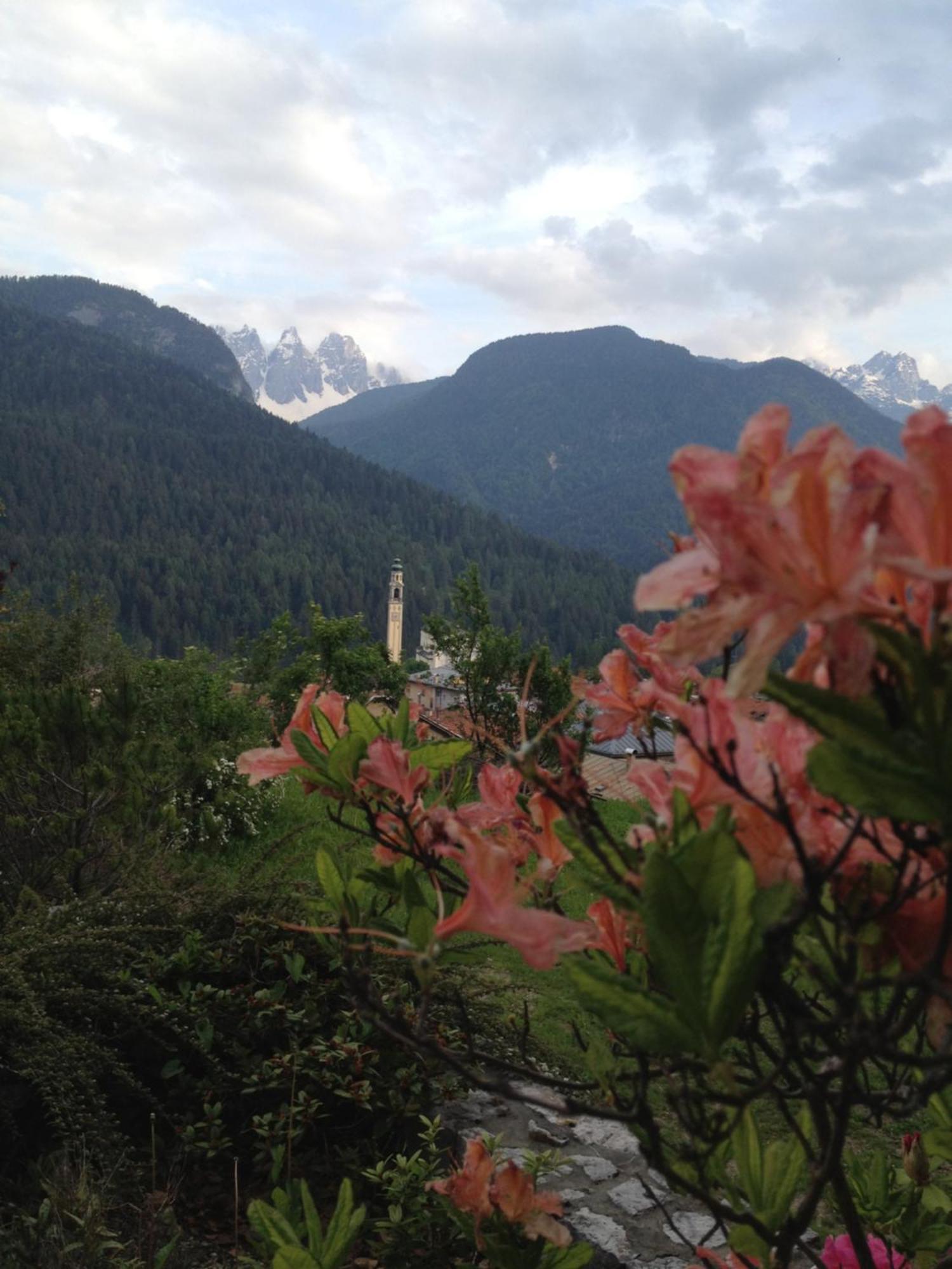 Fra Rose E Mughi Acomodação com café da manhã Domegge di Cadore Exterior foto